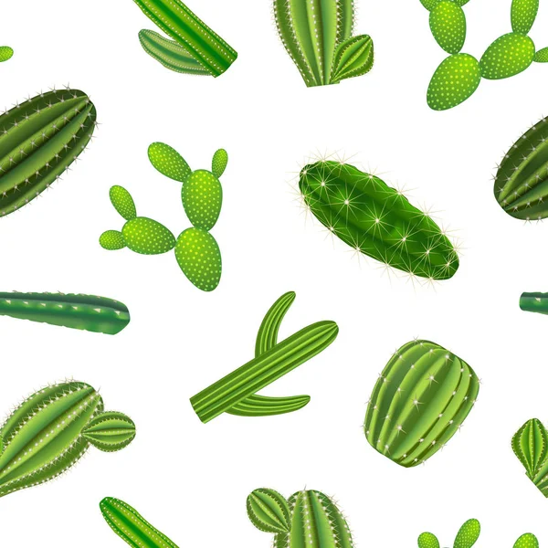 Realistische grüne Kakteen Pflanzen nahtlose Muster Hintergrund. Vektor — Stockvektor