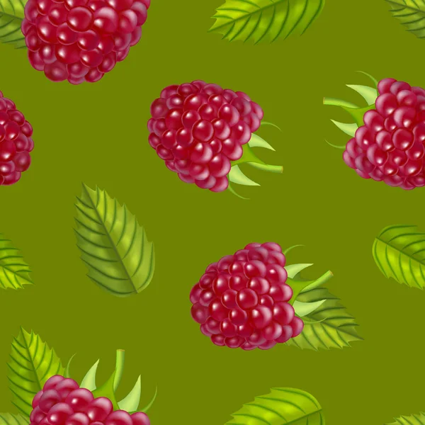 現実的な詳細な熟した赤いラズベリー果実。ベクトル — ストックベクタ