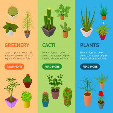 Yeşil bitkiler Pot afiş Vecrtical Set 3d izometrik görünümünde. Vektör