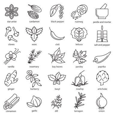 Baharat Baharatları Siyah İnce Çizgi Simgesi Ayarlandı. Vektör