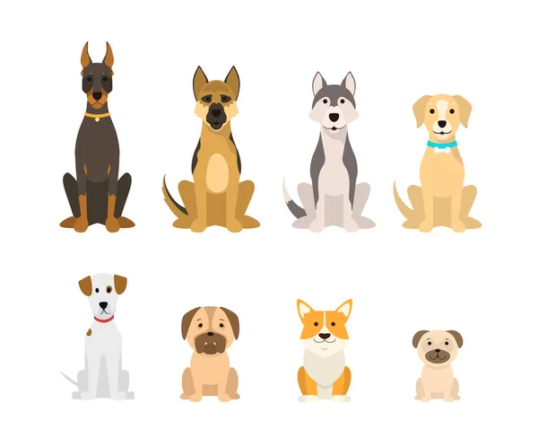 Dibujos animados color perro razas icono conjunto. Vector — Vector de stock