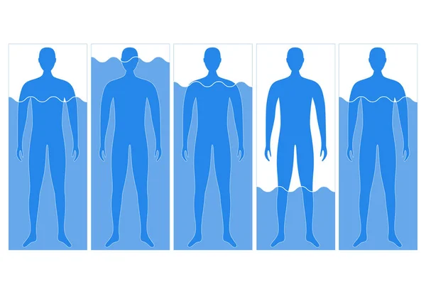 Cartoon Körper und Wasser leeren Diagramm Infografik-Karte Poster. Vektor — Stockvektor