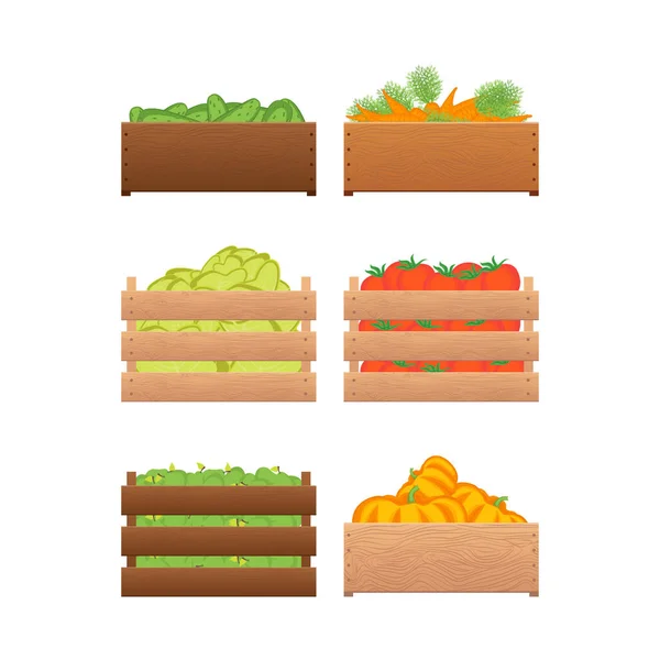 Cartoon Color Crates Fresh Fruits Sign Icon Set. Vector — Stock Vector