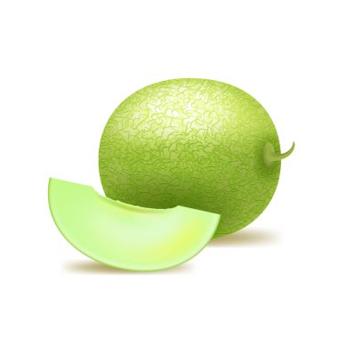 Gerçekçi Detaylı 3 boyutlu Honeydew kavunu ve dilimi. Vektör
