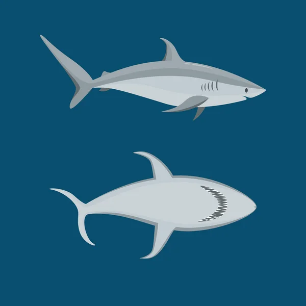 Personajes azules de dibujos animados Shark Icon Set on a Blue. Vector — Vector de stock