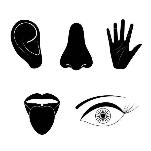 Dibujos animados Silueta Negro Sentidos Humanos Signos Icono Set. Vector — Archivo Imágenes Vectoriales