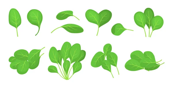 Cartoon Fresh Green Spinach Leaves Icon Set. Vektor — Stockový vektor