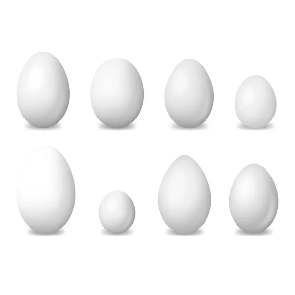 Ρεαλιστική Λεπτομερής 3d Λευκό Λευκά Αυγά Πουλιών Σετ. Διάνυσμα — Διανυσματικό Αρχείο