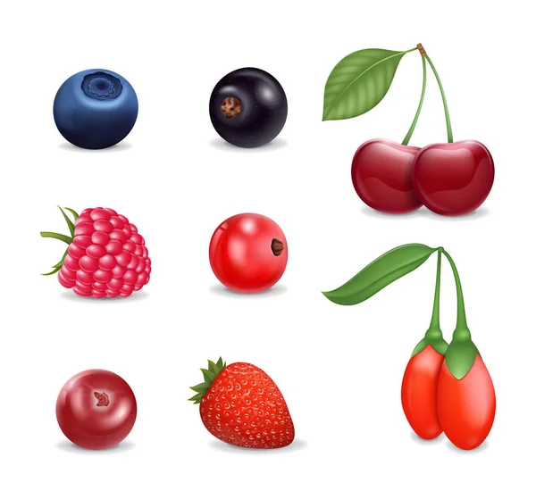 Realistic Detailed 3d Different Berries Set. Vector — Stock Vector