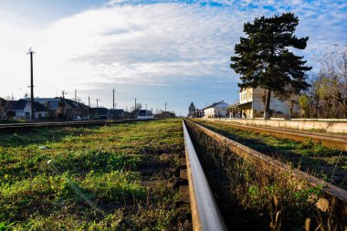  yeşil çim ile eski demir raylar