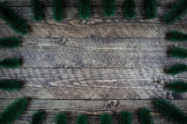 ağaç dalları ve güzel bir vinyet ile güzel ahşap arka plan