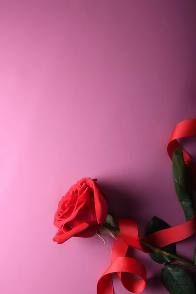 Valentinstag Hintergrund Grußkarte Liebe Symbole, rote Dekoration mit Rosen auf rosa Hintergrund. Ansicht von oben mit Kopierraum und text.flat lay — Stockfoto