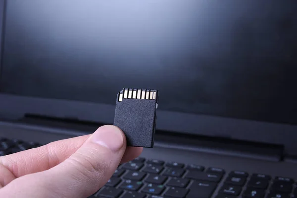 Hand holds flash drive,Micro SD memory card adapter on laptop background. close up — 스톡 사진