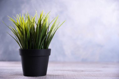 Yapay çiçekler, ahşap arka plandaki bir tencerede farklı şekillerde çimenler. Kopya alanı ve metin ile kapatın.