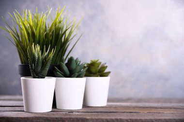 Yapay çiçekler, ahşap arka plandaki bir tencerede farklı şekillerde çimenler. Kopya alanı ve metin ile kapatın.