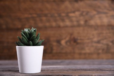 Yapay çiçekler, ahşap arka plandaki bir tencerede farklı şekillerde çimenler. Kopya alanı ve metin ile kapatın.