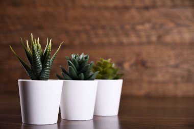 Yapay çiçekler, ahşap arka plandaki bir tencerede farklı şekillerde çimenler. Kopya alanı ve metin ile kapatın.