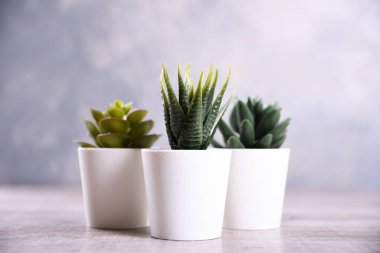 Yapay çiçekler, ahşap arka plandaki bir tencerede farklı şekillerde çimenler. Kopya alanı ve metin ile kapatın..