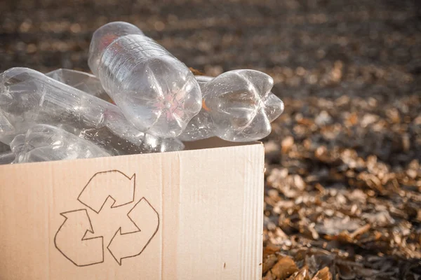 Les Jeunes Bénévoles Nettoient Zone Dans Bois Avec Garder Bouteille — Photo