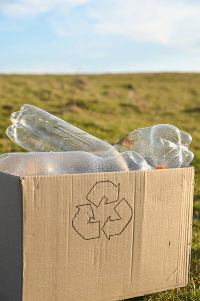 Young volunteers cleaning area in park, with keep plastic bottle at public park. Коллекция пластикового мусора в природе для переработки.
