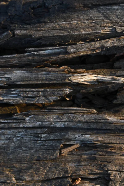 Large Textured Old Wooden Background — Stock Photo, Image