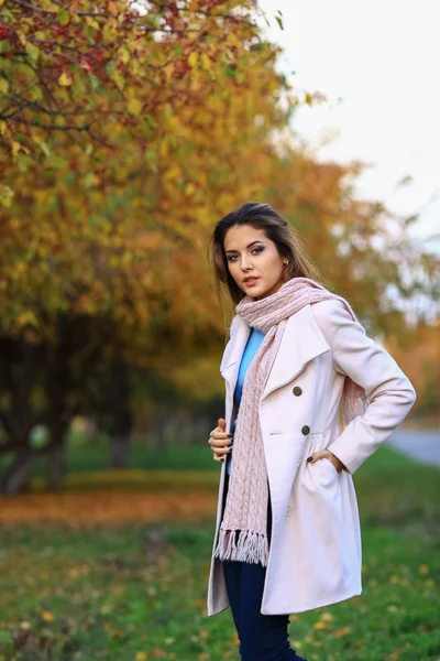 Giovane bella donna nel parco autunnale posa — Foto Stock