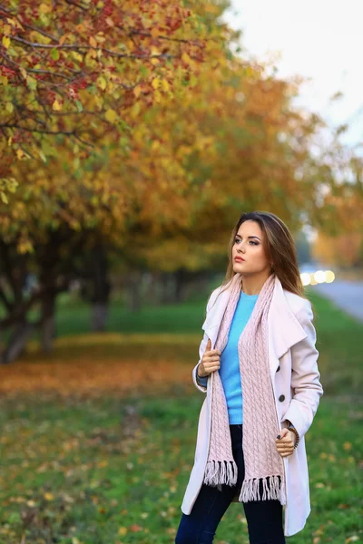 Giovane bella donna nel parco autunnale posa — Foto Stock