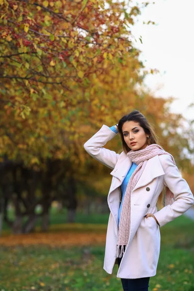 Молодая красивая женщина в осеннем парке позирует — стоковое фото