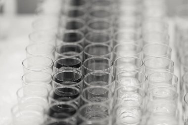 Alkolsüz içecek bir ziyafet için hazır çok sayıda atış yukarıdan.