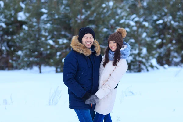  İki kış ormanda yürüyor seviyorum