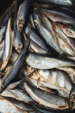 Sepet Fuarı satışa üzerinde taze balıklar