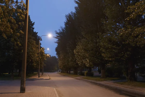 Trilha a pé no parque de verão à noite — Fotografia de Stock