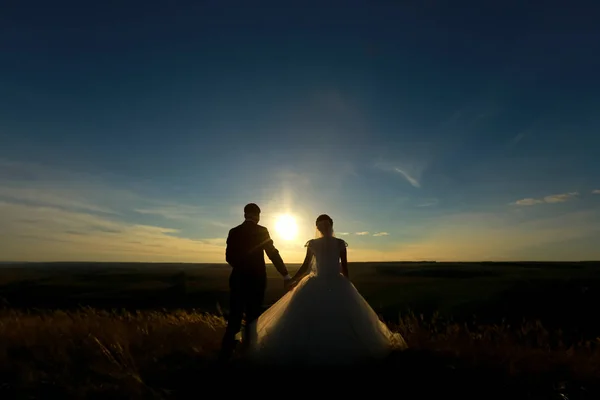 Couple de mariage tenir la main sur le coucher du soleil. Silhouette de Mariée et Mariée — Photo