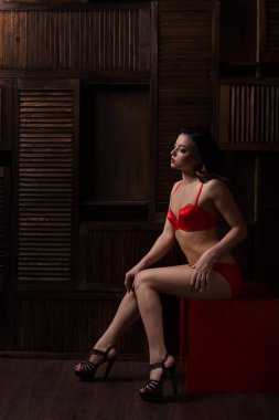 Kapalı modeli moda portre kadar kapatın. Dantel iç çamaşırı çekici vücut güzellik esmer kadınla