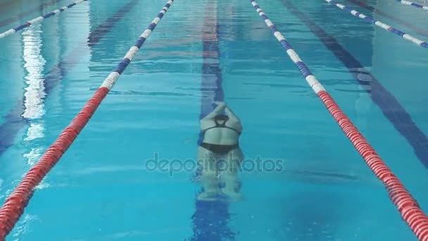 Slowmotion av ung kvinna i glasögon och cap simmar fjärilsim stil i blått vatten inomhus race poolen — Stockvideo