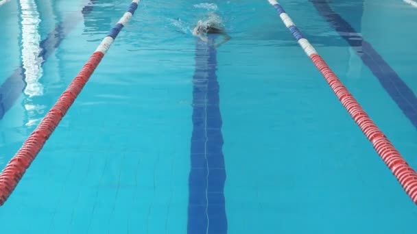 フィット水泳少女ジャンプとスローモーションでスイミング プールで応援 — ストック動画