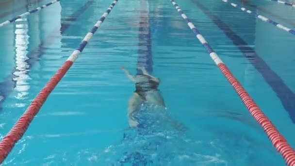 Молодая девушка в очках и кепке плавает назад ползти стиль инсульта в голубом бассейне — стоковое видео