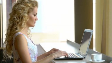 Genç iş kadını kafede dizüstü bilgisayar ile çalışma.