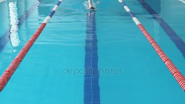 Adatto nuotatore ragazza saltare e fare il tifo in piscina — Video Stock