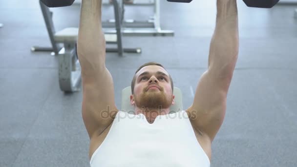 Mladý sportovec kulturista cvičení v tělocvičně. kulturista se bench pressu použití činky v posilovně. — Stock video