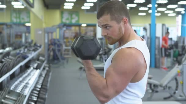 Portrait d'un homme fort au gymnase. bodybuilder fait un exercice sur les biceps avec haltères — Video