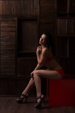 Kapalı modeli moda portre kadar kapatın. Dantel iç çamaşırı stüdyoda oturan çekici vücut güzellik esmer kadınla