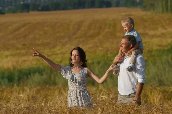 Pais felizes e criança caminhando pelo campo de trigo — Fotografia de Stock
