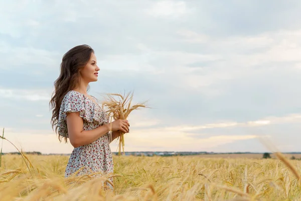 Mulher segura orelhas de trigo nas mãos, campo de verão — Fotografia de Stock