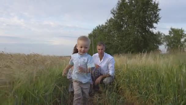 Padres felices jugando con el niño en un campo de trigo — Vídeo de stock