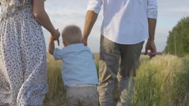 Anne, baba ve küçük oğlu Hobiler birlikte açık. Mutlu aile üzerinde yaz çayır, yavaş hareket yürüme.
