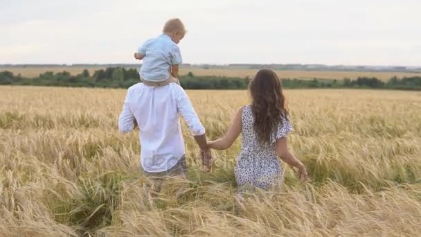 Mutlu çocukluk, buğday sahada yürüyüş aile — Stok video