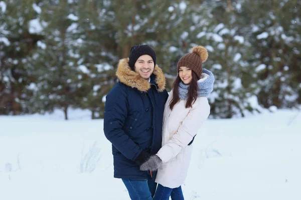  İki kış ormanda yürüyor seviyorum