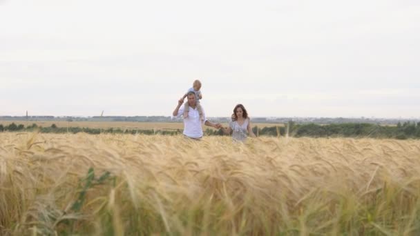 Щасливе дитинство, сім'я разом на пшеничному полі — стокове відео