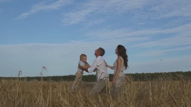 Отец играет с сыном на пшеничном поле — стоковое видео